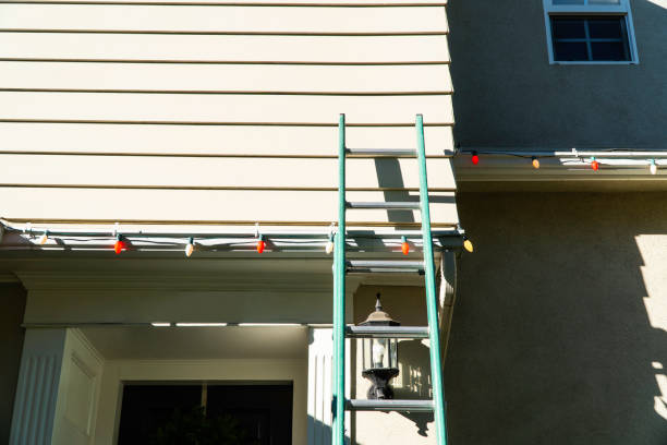 Best Residential Vinyl Siding Installation  in Brundidge, AL