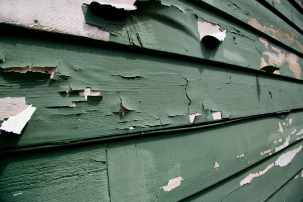 Best Steel Siding Installation  in Brundidge, AL