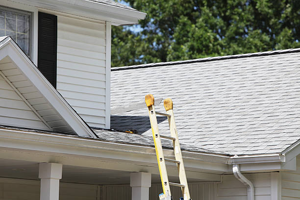 Best Brick Veneer Siding  in Brundidge, AL