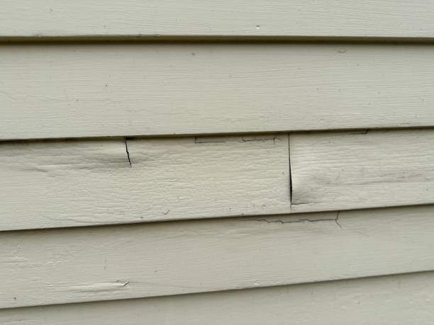 Best Storm Damage Siding Repair  in Brundidge, AL