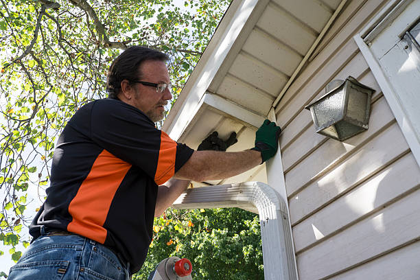 Best Stone Veneer Siding  in Brundidge, AL