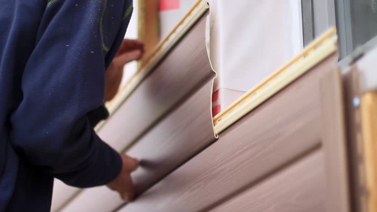 Best Aluminum Siding Installation  in Brundidge, AL
